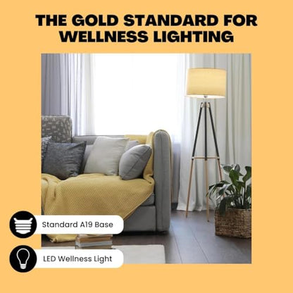 NorbSMILE Soft Full Spectrum Light Bulb | US Patented | A19 LED Bulb & 9W 720 Lumens | 4000K Soft Daylight White, CRI 96 & Dimmable E26 Base | Supports Energy, Mood & Circadian Rhythm - style: Smile Soft 9W (1 Pack)