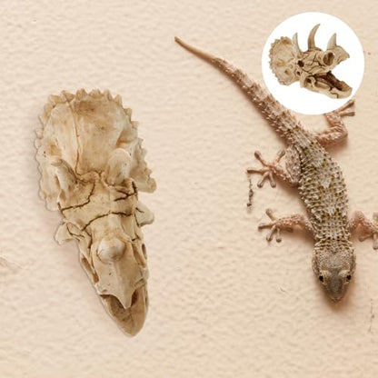 COHEALI Realistic Dinosaur Skull Resin Reptile Hideout for Lizards and Frogs Habitat Hiding Feature and Highly Wear-Resistant Material, Aquarium or Terrarium Decoration