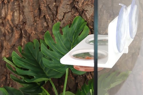 Crested Gecko Feeding Ledge with 10PCS Gecko Food Water Dish - White - color: White