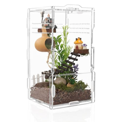 Jumping Spider Enclosure Acrylic Terrarium 8x4x4 - color: Transparency-Basic