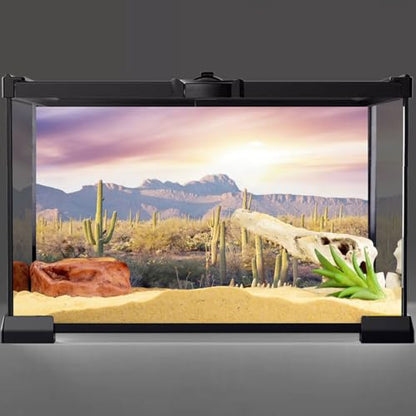 AWERT Reptile Habitat Background Blue Sky Oasis Mountain Cactus Sun and Desert Terrarium Background 72x24 inches - size: 72x24in/180x60cm
