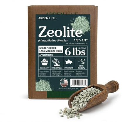 Zeolite Regular 6 lbs, Clinoptilolite 1/8"–1/4" (3–6 mm), Soil Amendment for Succulents, Bonsai & Plants, Improves Drainage and Moisture Balance, Decorative and Aquarium Use - style: Regular - 6 lbs