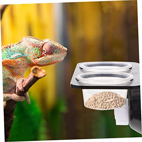 Reptile Feeding Ledge and Water Feeder Accessories for Gecko Tank Snake Lizard
