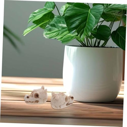 jojofuny 20pcs Resin Mini Dragon Skull Yard Ornaments for Outdoor Garden Lawn Decoration, Small Skull Figurines for Fish Tank and Terrarium, Dragon Head Resin Sculptures