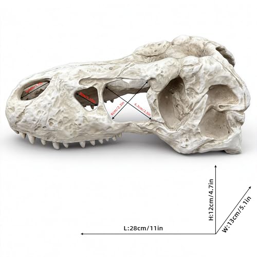 Animal Skull Aquarium Tank Decorations, Reptile & Amphibian Habitat Hideouts, Dinosaur T-Rex Dragon Decor Accessories for Fish, Lizard, Gecko
