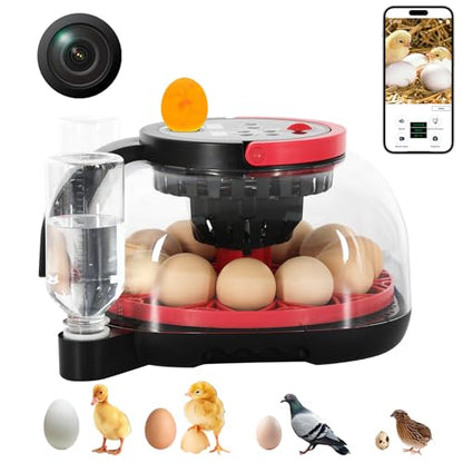 Automatic Egg Incubator for 12 Chicken Eggs with Camera APP Control | Temperature & Humidity Monitor, Auto Egg Turner, Record Life's Birth Moments for Chicken Duck Quail Pigeons