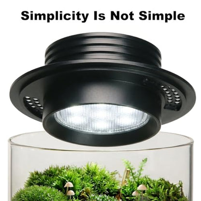 AREPK Desktop Glass Plant Terrarium with Grow Light (H:7.8" D:4"), for Succulent, Moss, Miniature Gardening Landscape, Betta Fish Tank, Office Home Decoration, Plant Lovers Gifts