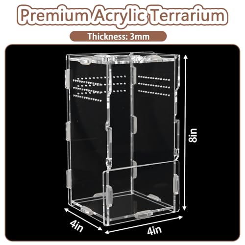 Jumping Spider Enclosure Acrylic Terrarium 8x4x4 - color: Transparency-Basic