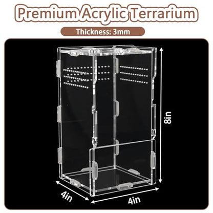 Jumping Spider Enclosure Acrylic Terrarium 8x4x4 - color: Transparency-Basic