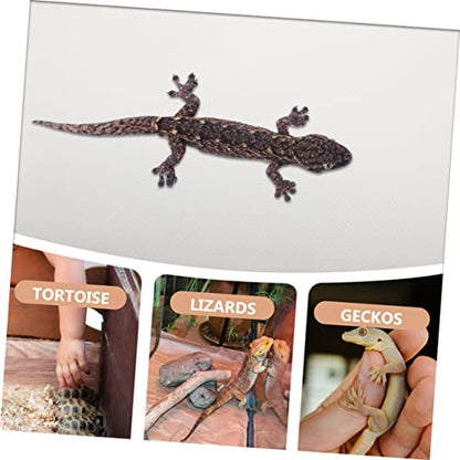 MERRYHAPY Eva Reptile Carpet for Tortoises Lizards and Snakes Soft and Durable Bedding Mat Easy Clean Non-Slip Terrarium Liner for Reptile Habitat - color: White