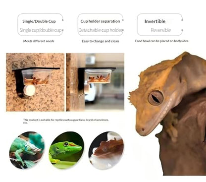 Double Crested Gecko Feeding Ledge with 10 Pcs 0.5oz Bowls & Detachable Suction Cup – Reptile Food & Water Dish Feeder for Lizards, Geckos, Chameleons, Turtles in Terrariums & Breeding Tanks