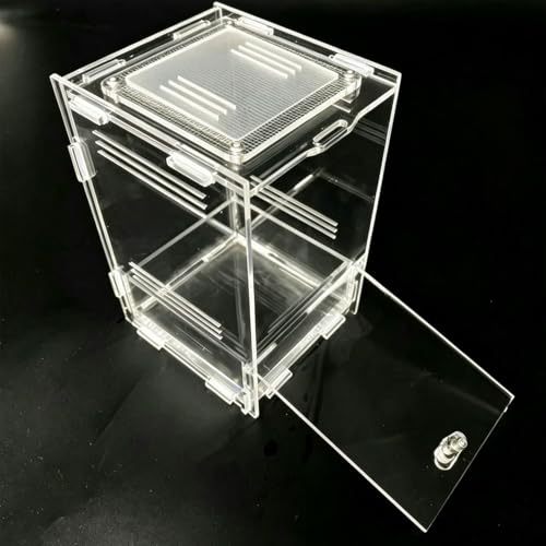 Clear Acrylic Reptile Terrarium with Mesh Top for Lighting, Waterproof and Ventilated Enclosure for Small Insect,Jumping Spider, Tarantula, Easy Access Feeding