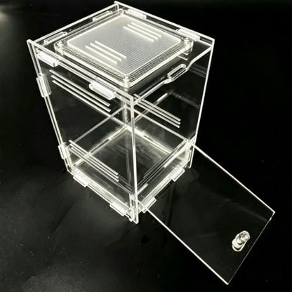 Clear Acrylic Reptile Terrarium with Mesh Top for Lighting, Waterproof and Ventilated Enclosure for Small Insect,Jumping Spider, Tarantula, Easy Access Feeding