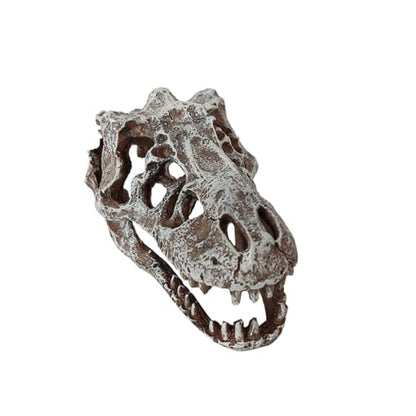 Aquarium Decoration Skull Dinosaur Head, Resin T-rex Skull Skeleton Ornament, Fish Tank Hollow Reptiles Hideout Statue Decor, Artificial Tyrannosaur Sculpture for Home Bar Office Desktop Decoration