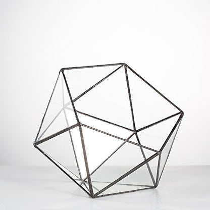NCYP Opened Geometric Glass Terrarium, 6.69" Bowl Shape Planter for Succulent Plant Cacti, Indoor Balcony Irregular Decor, Garden Miniature Pot, Tabletop Centerpiece (No Plants)