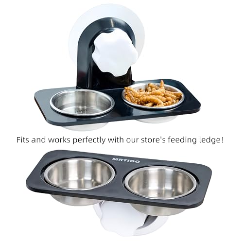 0.5oz Feeding Cups 10pcs, Stainless Steel 304 SUS Metal, Reptile Food Bowls and Water Dish, for Crested Gecko, Lizard Or Other Small Pet Feeder Ledge Accessories Supplies