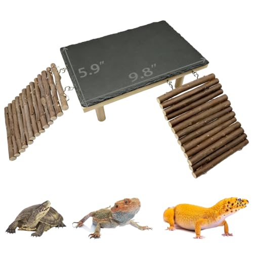 Wooden Bearded Dragon Platform Reptile Basking Platform Climbing with Slate Stone Tank Accessories for Leopard Gecko Lizard Tortoise Snake (Small Applewood) - size: Small(B)