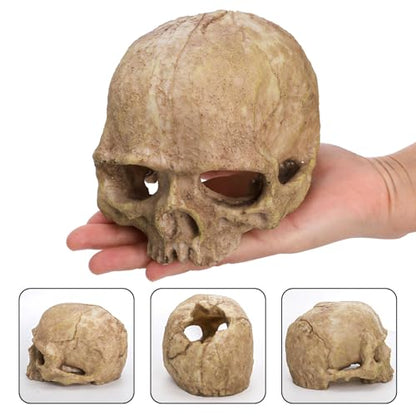 Lawei 4 Pieces Aquarium Resin Skull Ornaments, Desert Reptile Hideouts Decorations, Human Skeleton Dinosaur Cattle Skull for Fish Tanks Decorative, Small Decor Statue Cave Landscape Pet Reptile House