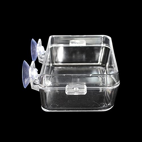 Reptile Feeder Chameleon Bowl 2 Pcs Anti-Escape Food Dish Bowl with Suction Cup for Chameleon Iguana Lizard Reptile Food and Water Feeding (White, S) - color: White, size: S