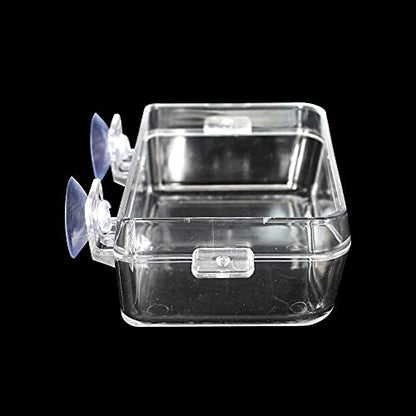 Reptile Feeder Chameleon Bowl 2 Pcs Anti-Escape Food Dish Bowl with Suction Cup for Chameleon Iguana Lizard Reptile Food and Water Feeding (White, S) - color: White, size: S
