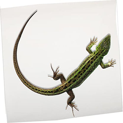 Garneck Reptile Carpet Mat for Leopard Gecko Lizard Snake and Turtle Sturdy Terrarium Substrate Bedding for Reptile Tanks Easy to Clean and Maintain - color: White