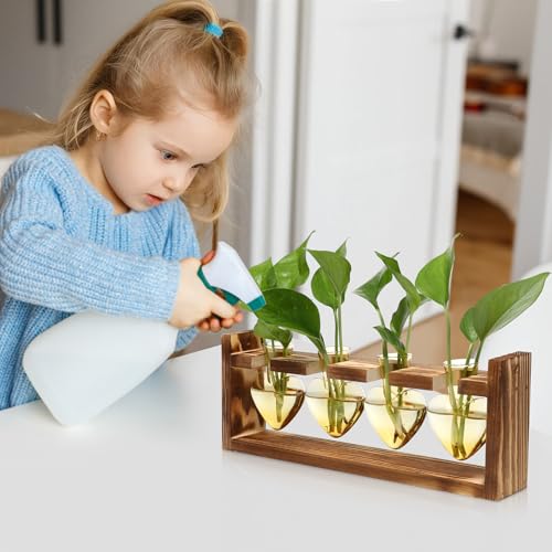 Plant Propagation Stations Heart Plant Terrarium Kit Gift for Women Plant Lover Glass Vases - color: Gold