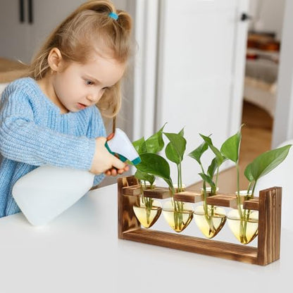 Plant Propagation Stations Heart Plant Terrarium Kit Gift for Women Plant Lover Glass Vases - color: Gold