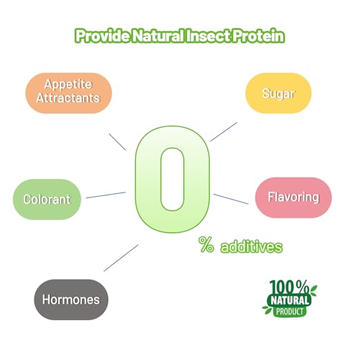 Crested Gecko Food Insect Puree, Dubia Paste Reptile Food Made with Fresh Insects 2.82oz