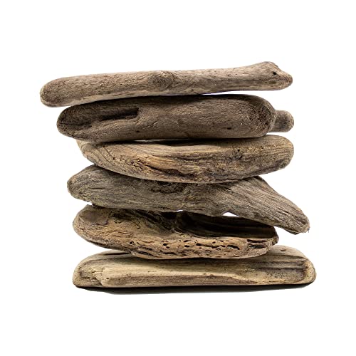 3 Pieces of 4"-6" Natural Pacific Driftwood for Aquarium Décor, Terrariums, Arts & Crafts and Reptile Habitats