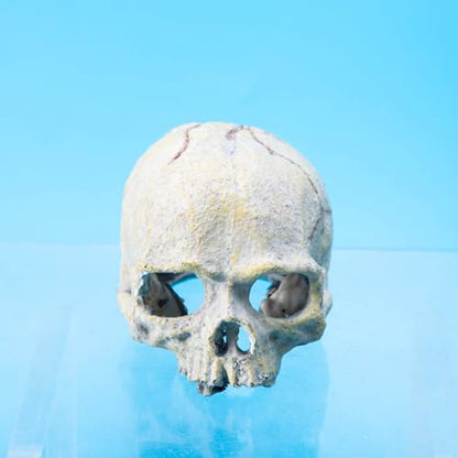 Skull Head Reptiles Hideouts Caves Resin Landscape Decoration Fishtanks Terrariums Accessories for Snake Bearded Dragon Resin Skull Head Decors for Aquariums