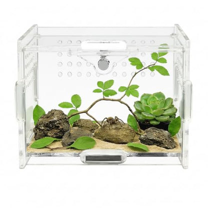 Acrylic Jumping Spider Enclosure - Multi-Purpose Reptile & Insect Habitat Cage with Ventilation for Jumping Spiders,Arboreal Tarantula, Scorpion, Lizard, Snake, Gecko, Snail & Isopod(3.9x3.1x2.7'')