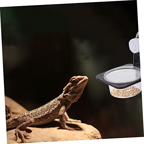 BESPORTBLE Reptile Feeder Lizard Food Bowl Reptile Water Basin Snake Water Bowl Easy Cleaning - size: 7.8X8.5X6.7CM