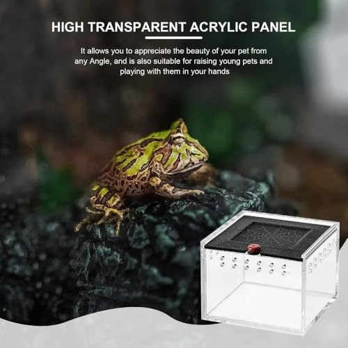 3.5x2.5 inch Pet Spider Box Reptile Crawling Pet Feeding Lizard Silkworm Baby Scorpion Unicorn Beetle Insect House Black Acrylic Box