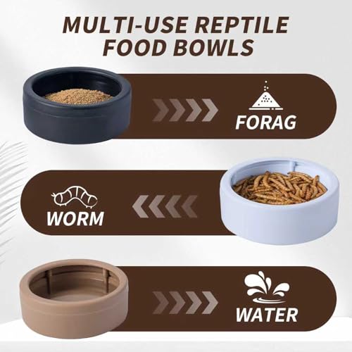 COMSUN 3 Pack Anti-Escape Reptile Food Dish Bowls, Plastic Worm Water Dish, Mealworm Feeder Cups for Small Gecko, Lizards, Bearded Dragon, Chameleon 2.83" W x 2.83" D x 0.98" H, 3 Colors