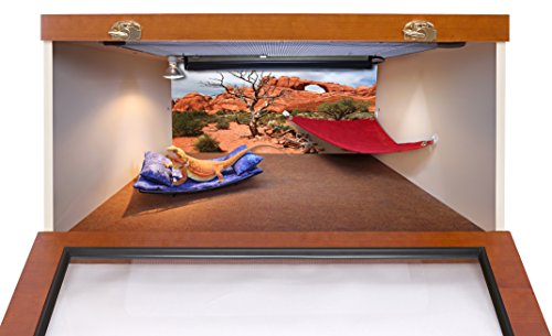 Reptile Habitat Background, Arch with Tree, 15.75" x 36"