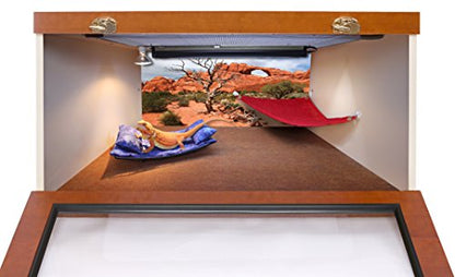 Reptile Habitat Background, Arch with Tree, 15.75" x 36"