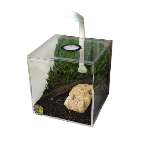 4″ Ventilated Acrylic Vivarium Terrarium Enclosure Clear Cubic Bug Habitat for Spiders, Isopods, Insects, Reptiles (Black Vent) - color: Black