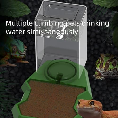 Reptile Water Dispenser with Bottle,Prevent Drowning Water Dispenser,Reptile Water Feeder with Absorbent Cotton, Feeding Accessories for Terrarium Tank, Turtle, Geckos, Lizards (Brown, 18x13x8cm) - color: brown