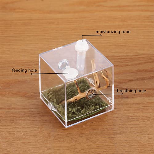 Jumping Spider Micro Big Habitat, Small Pet Insect Breeding Box, 360 Degree High Transparent Reptile Cage, Acrylic Case Mini Carrier for Amphibians, Feeding Container Enclosure Accessories - size: 2.6x2.6x2.7inches