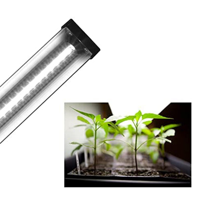 AquaSprouts 2ft Horticultural LED Grow Light Bar, 24W High Output White, Full Spectrum 6400K for Indoor Gardening, Bioactive Terrariums & Vivarium/Paludariums