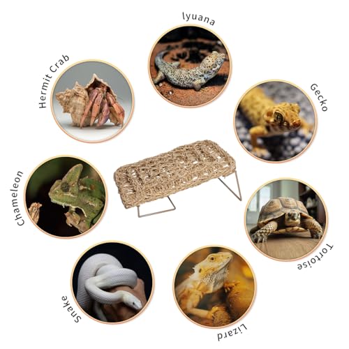 Bearded Dragon Hammock Reptile Tank Accessories Decor Basking Platform Metal Legs Bed Habitat for Lizard Leopard Gecko Snake Hermit Crab and Frog (Rectangle) - style: Rectangle