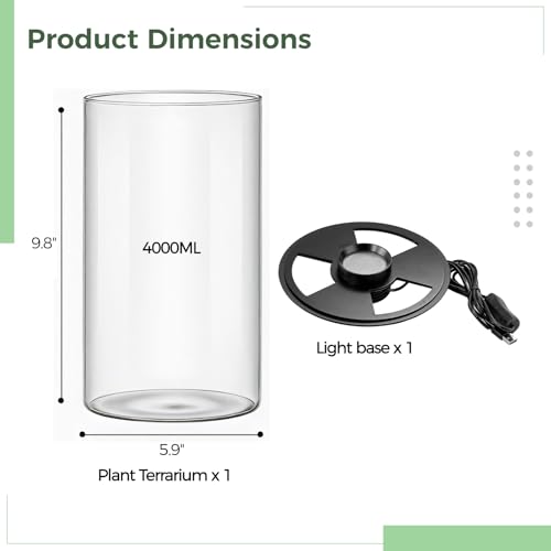 Desktop Glass Plant Terrarium with Grow Light 10 X 6IN - Planter for Succulent Moss Miniature Gardening Landscape, Fish Tank Indoor Plant Growth Office Home Decoration Plant Lovers Gifts
