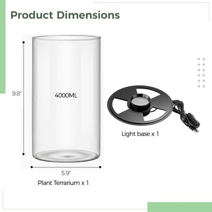 Desktop Glass Plant Terrarium with Grow Light 10 X 6IN - Planter for Succulent Moss Miniature Gardening Landscape, Fish Tank Indoor Plant Growth Office Home Decoration Plant Lovers Gifts