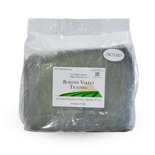 Border Valley Orchard Grass Hay Bale in Bag, 40 lb - Soft High Fiber Hay for Rabbits, Guinea Pigs, Chinchillas, Tortoises, Horses and Livestock - Leafy Grass Hay, Farm-to-Home Freshness