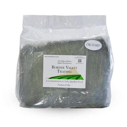 Border Valley Orchard Grass Hay Bale in Bag, 40 lb - Soft High Fiber Hay for Rabbits, Guinea Pigs, Chinchillas, Tortoises, Horses and Livestock - Leafy Grass Hay, Farm-to-Home Freshness