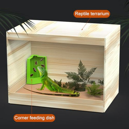 DONGKER Bearded Dragon Feeder,Anti-Escape Lizard Corner Terrarium Bowl with Suction Cups for Lizard Bearded Dragon Gecko Frog