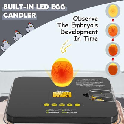 Sailnovo 62 Egg Incubator for Hatching Eggs with Automatic Egg Turning and Auto Humidification, Temperature Control, Egg Candler, Incubator for Chicken Eggs, Gray 20.7'' x 16.14'' x 6.3''