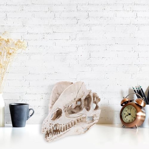 NUOBESTY Resin Dinosaur Skeleton Aquarium Decoration Dinosaur Skull Skeleton Ornament Fish Tank Aquarium Terrarium Decoration
