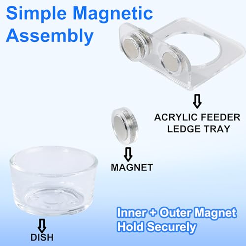 Strong Magnetic Reptile Ledge Acrylic Gecko Feeding Ledge Reptile Food Water Feeder Dish for Chameleon Spider Bearded Dragon Jumping Spider Tank Accessories