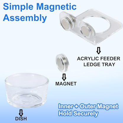 Strong Magnetic Reptile Ledge Acrylic Gecko Feeding Ledge Reptile Food Water Feeder Dish for Chameleon Spider Bearded Dragon Jumping Spider Tank Accessories